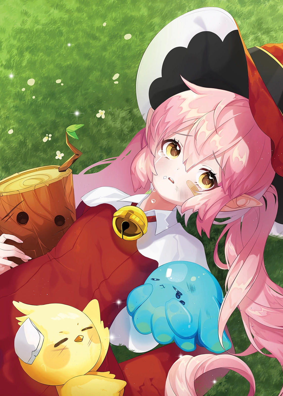 코인토스 - 청강 크로니클